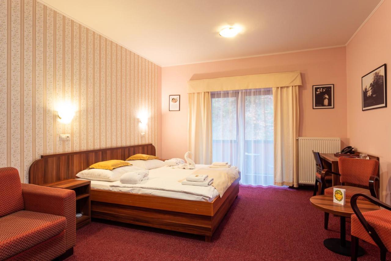 Hotel Studanka Rychnov nad Kneznou Exterior photo